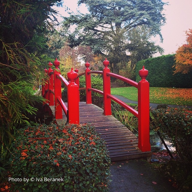 Japanese gardens, Kildare Nov 2014